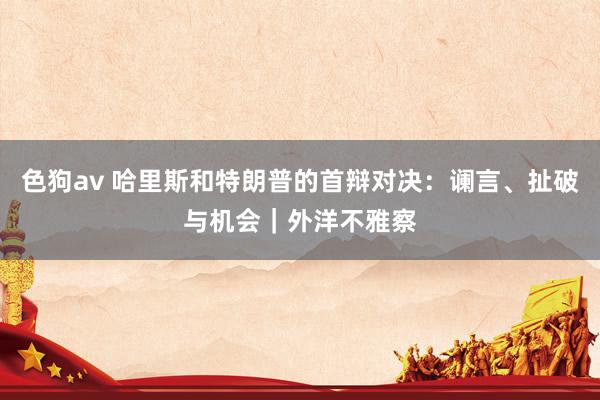   色狗av 哈里斯和特朗普的首辩对决：谰言、扯破与机会｜外洋不雅察