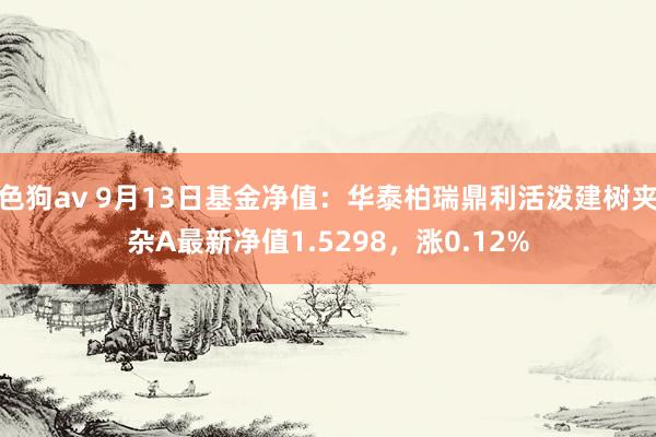   色狗av 9月13日基金净值：华泰柏瑞鼎利活泼建树夹杂A最新净值1.5298，涨0.12%