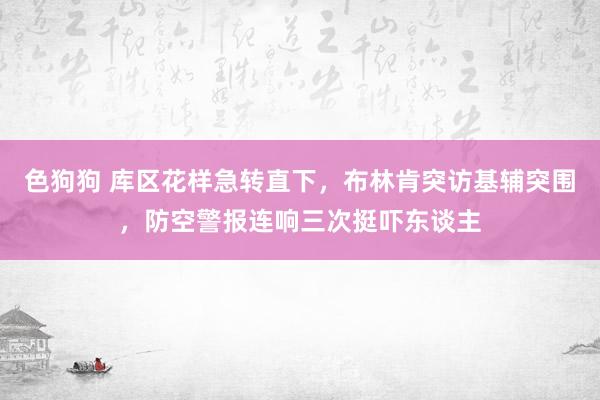   色狗狗 库区花样急转直下，布林肯突访基辅突围，防空警报连响三次挺吓东谈主