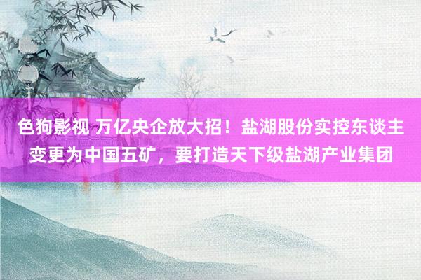   色狗影视 万亿央企放大招！盐湖股份实控东谈主变更为中国五矿，要打造天下级盐湖产业集团