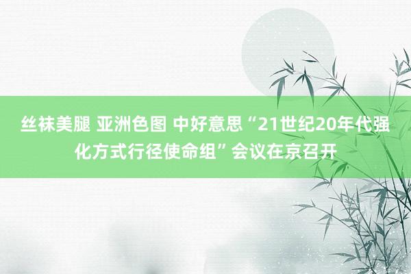   丝袜美腿 亚洲色图 中好意思“21世纪20年代强化方式行径使命组”会议在京召开