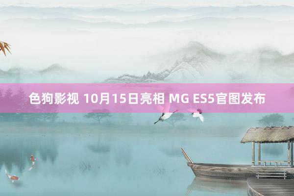   色狗影视 10月15日亮相 MG ES5官图发布