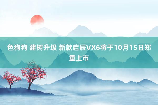   色狗狗 建树升级 新款启辰VX6将于10月15日郑重上市
