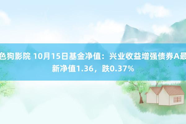   色狗影院 10月15日基金净值：兴业收益增强债券A最新净值1.36，跌0.37%