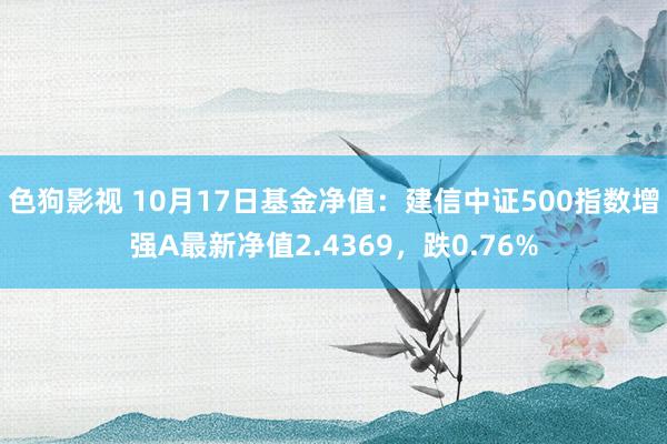   色狗影视 10月17日基金净值：建信中证500指数增强A最新净值2.4369，跌0.76%