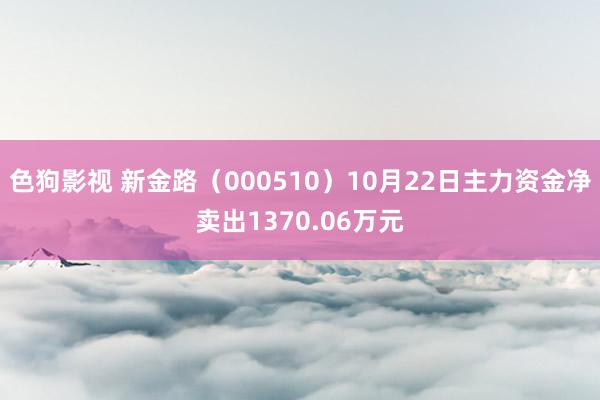   色狗影视 新金路（000510）10月22日主力资金净卖出1370.06万元