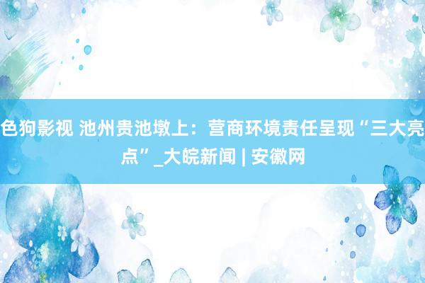   色狗影视 池州贵池墩上：营商环境责任呈现“三大亮点”_大皖新闻 | 安徽网