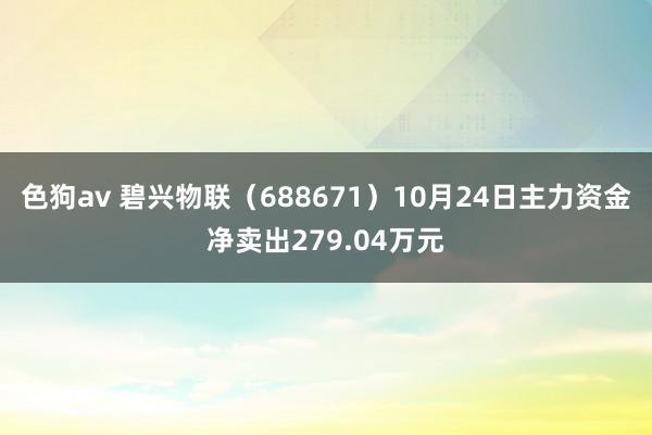   色狗av 碧兴物联（688671）10月24日主力资金净卖出279.04万元