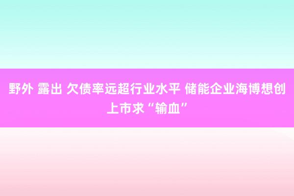   野外 露出 欠债率远超行业水平 储能企业海博想创上市求“输血”