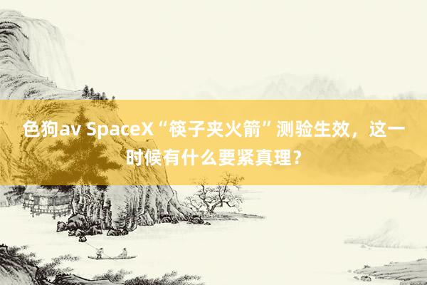   色狗av SpaceX“筷子夹火箭”测验生效，这一时候有什么要紧真理？
