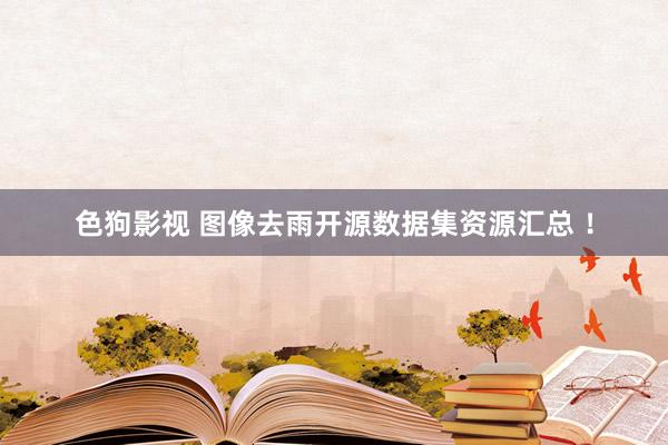   色狗影视 图像去雨开源数据集资源汇总 ！