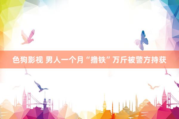   色狗影视 男人一个月“撸铁”万斤被警方持获
