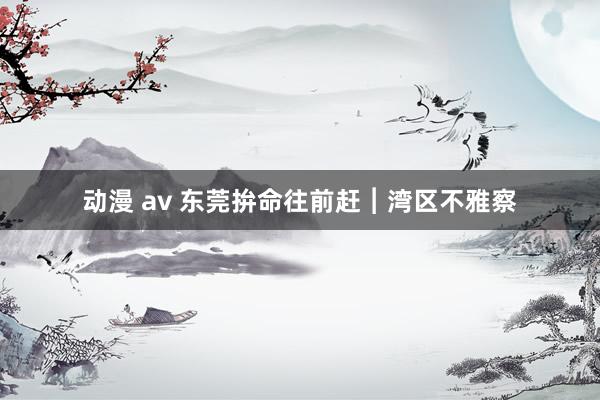   动漫 av 东莞拚命往前赶︱湾区不雅察