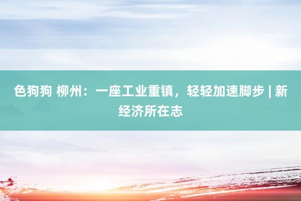   色狗狗 柳州：一座工业重镇，轻轻加速脚步 | 新经济所在志