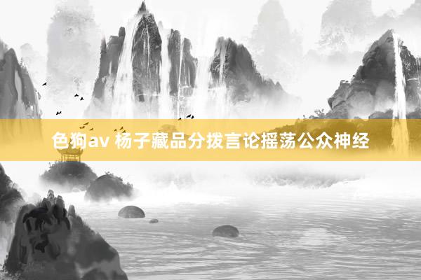   色狗av 杨子藏品分拨言论摇荡公众神经