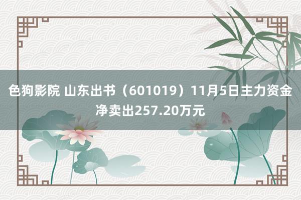   色狗影院 山东出书（601019）11月5日主力资金净卖出257.20万元