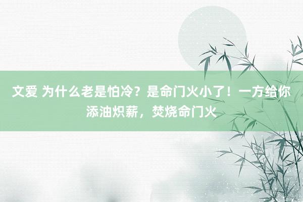   文爱 为什么老是怕冷？是命门火小了！一方给你添油炽薪，焚烧命门火