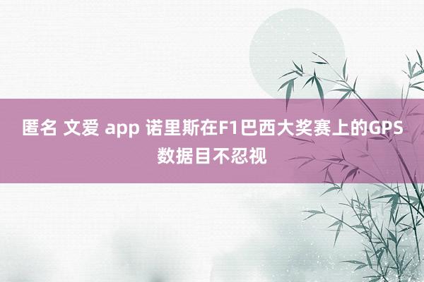  匿名 文爱 app 诺里斯在F1巴西大奖赛上的GPS数据目不忍视
