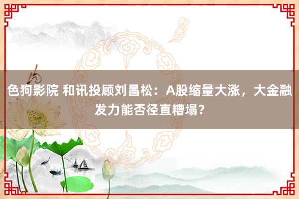   色狗影院 和讯投顾刘昌松：A股缩量大涨，大金融发力能否径直糟塌？