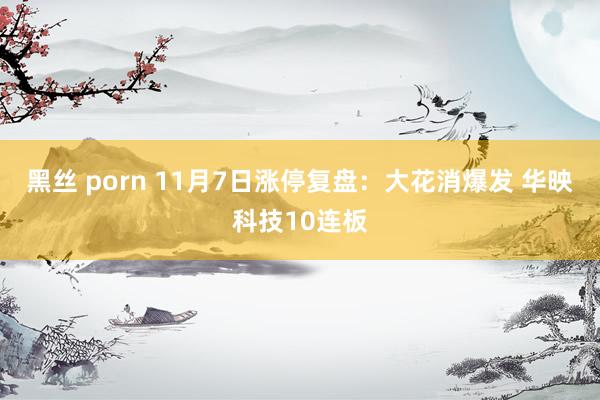   黑丝 porn 11月7日涨停复盘：大花消爆发 华映科技10连板