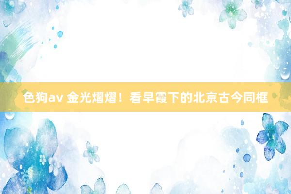   色狗av 金光熠熠！看早霞下的北京古今同框