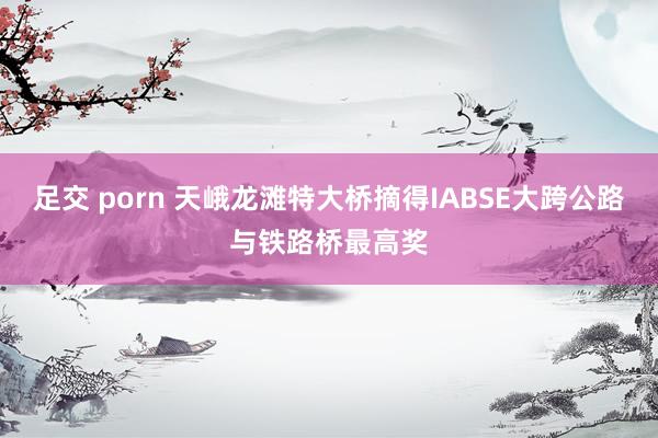   足交 porn 天峨龙滩特大桥摘得IABSE大跨公路与铁路桥最高奖