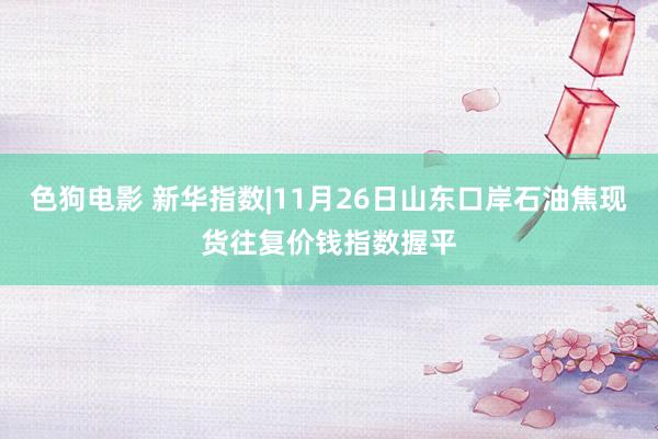   色狗电影 新华指数|11月26日山东口岸石油焦现货往复价钱指数握平
