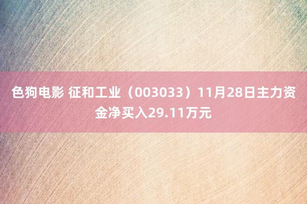  色狗电影 征和工业（003033）11月28日主力资金净买入29.11万元