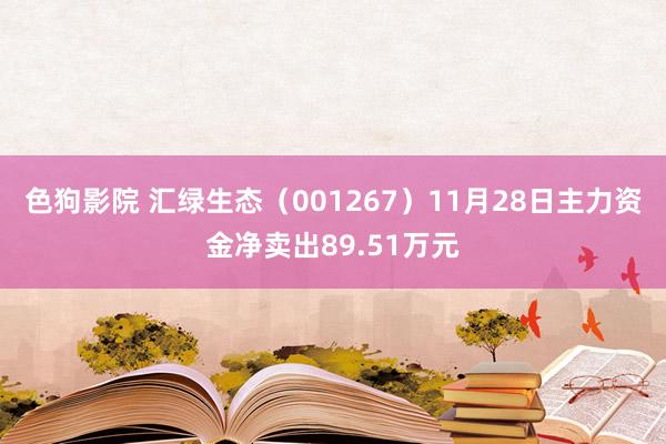   色狗影院 汇绿生态（001267）11月28日主力资金净卖出89.51万元