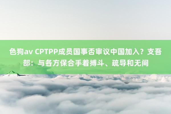   色狗av CPTPP成员国事否审议中国加入？支吾部：与各方保合手着搏斗、疏导和无间