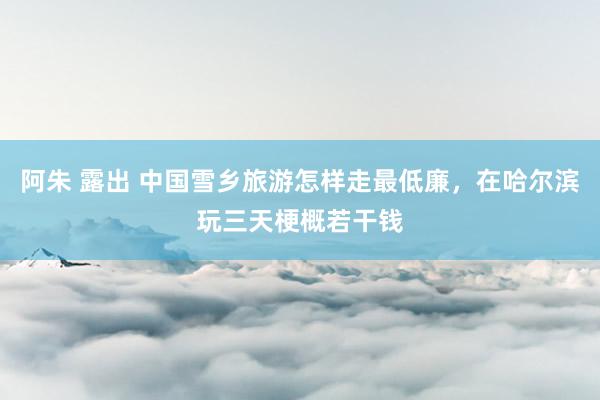   阿朱 露出 中国雪乡旅游怎样走最低廉，在哈尔滨玩三天梗概若干钱
