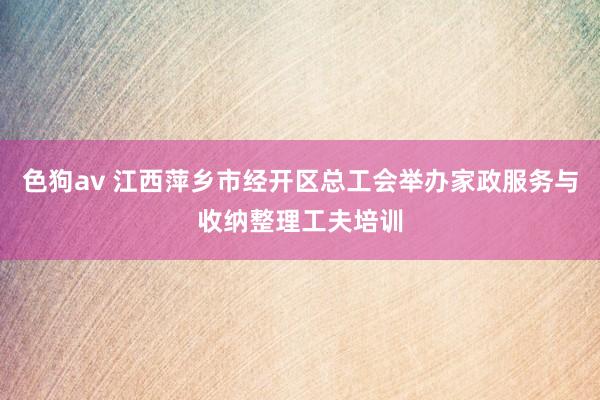   色狗av 江西萍乡市经开区总工会举办家政服务与收纳整理工夫培训
