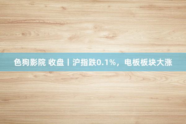   色狗影院 收盘丨沪指跌0.1%，电板板块大涨