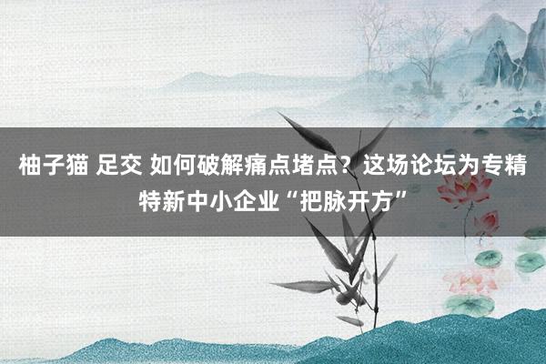   柚子猫 足交 如何破解痛点堵点？这场论坛为专精特新中小企业“把脉开方”
