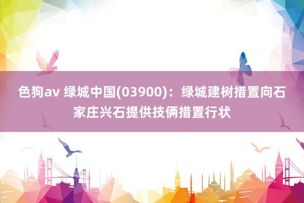   色狗av 绿城中国(03900)：绿城建树措置向石家庄兴石提供技俩措置行状