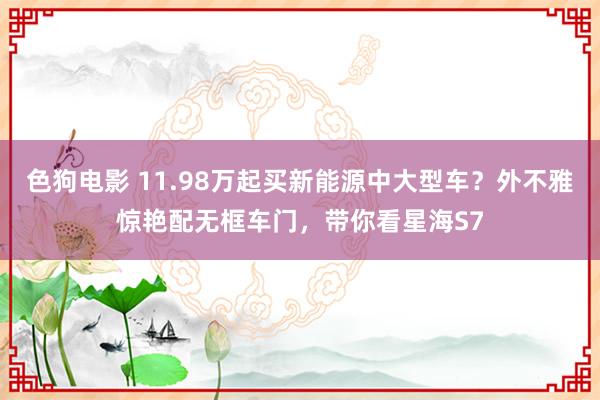  色狗电影 11.98万起买新能源中大型车？外不雅惊艳配无框车门，带你看星海S7