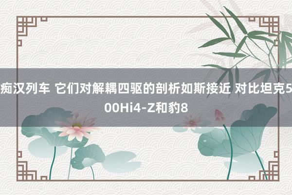   痴汉列车 它们对解耦四驱的剖析如斯接近 对比坦克500Hi4-Z和豹8