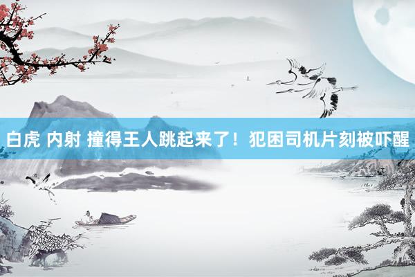   白虎 内射 撞得王人跳起来了！犯困司机片刻被吓醒