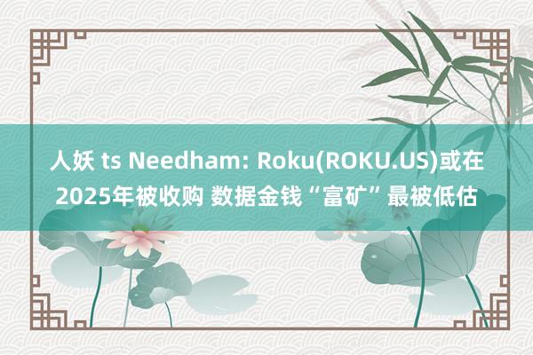   人妖 ts Needham: Roku(ROKU.US)或在2025年被收购 数据金钱“富矿”最被低估