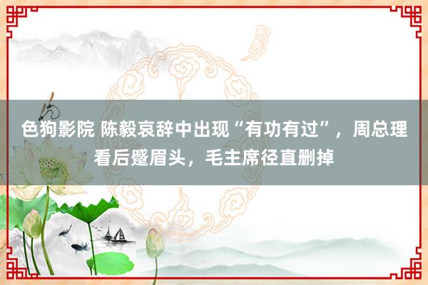   色狗影院 陈毅哀辞中出现“有功有过”，周总理看后蹙眉头，毛主席径直删掉