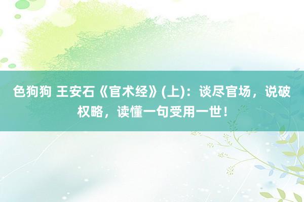   色狗狗 王安石《官术经》(上)：谈尽官场，说破权略，读懂一句受用一世！