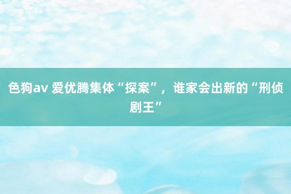   色狗av 爱优腾集体“探案”，谁家会出新的“刑侦剧王”