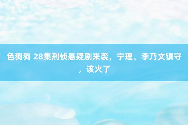   色狗狗 28集刑侦悬疑剧来袭，宁理、李乃文镇守，该火了