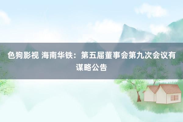   色狗影视 海南华铁：第五届董事会第九次会议有谋略公告