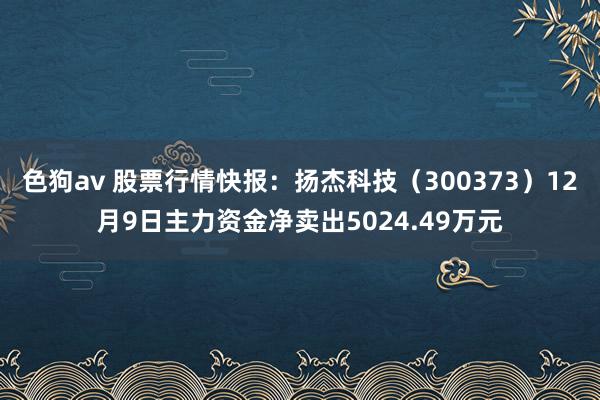   色狗av 股票行情快报：扬杰科技（300373）12月9日主力资金净卖出5024.49万元