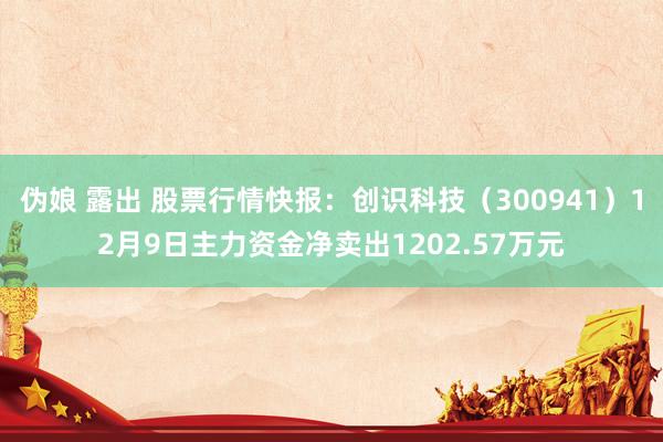   伪娘 露出 股票行情快报：创识科技（300941）12月9日主力资金净卖出1202.57万元