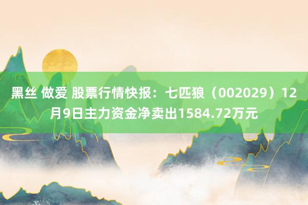  黑丝 做爱 股票行情快报：七匹狼（002029）12月9日主力资金净卖出1584.72万元