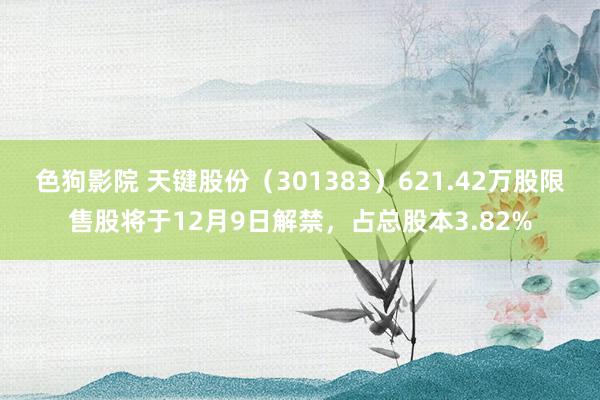   色狗影院 天键股份（301383）621.42万股限售股将于12月9日解禁，占总股本3.82%