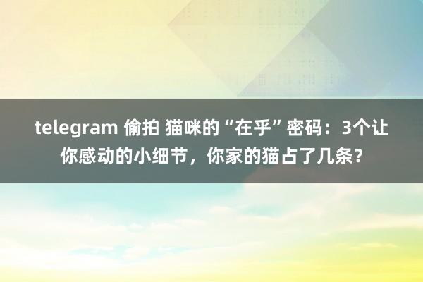   telegram 偷拍 猫咪的“在乎”密码：3个让你感动的小细节，你家的猫占了几条？