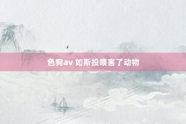   色狗av 如斯投喂害了动物